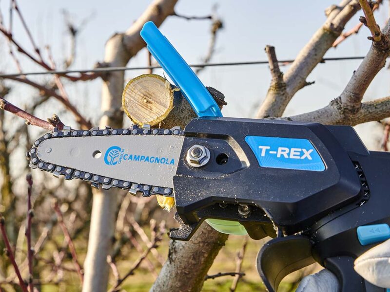 CAMPAGNOLA T-REX (2 batterie e caricatore)