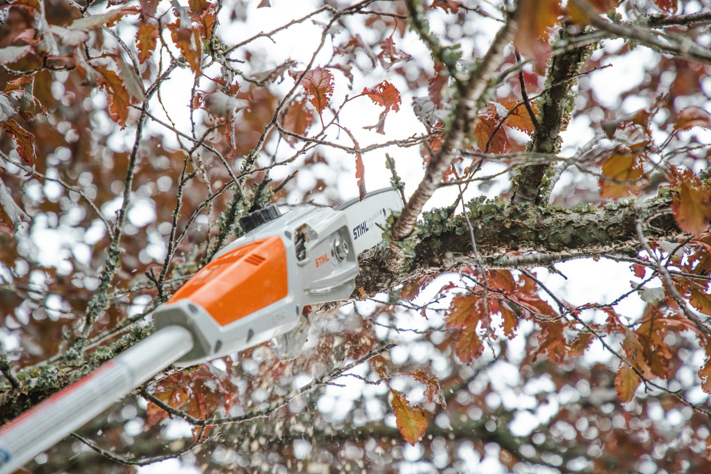 STIHL HTA 50 (AK)