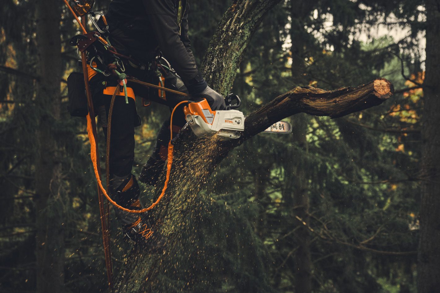 STIHL ADATTATORE AP 2in1 - CORDINO+SACCA