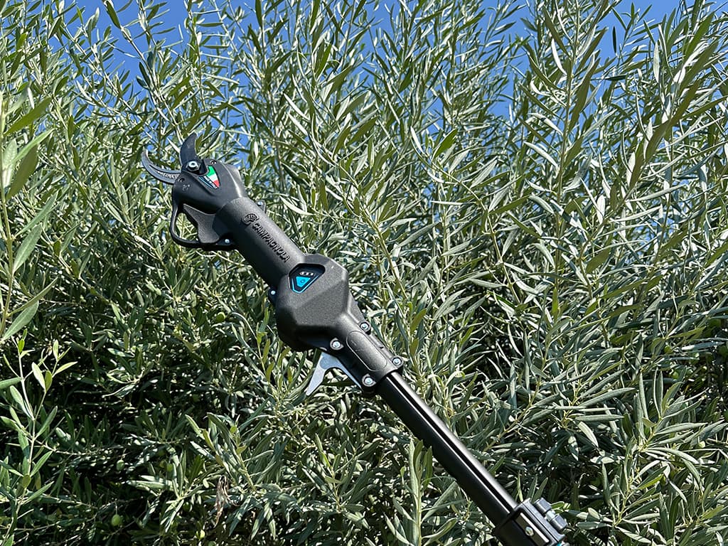 CAMPAGNOLA ASTA (per forbici NOVA)