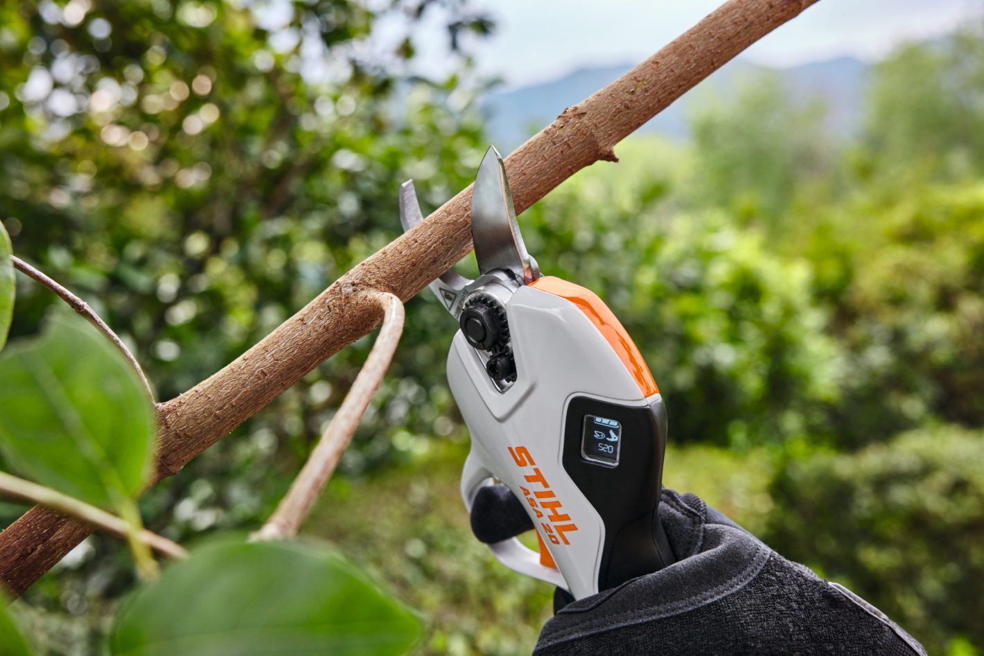 STIHL ASA 20 (AS)